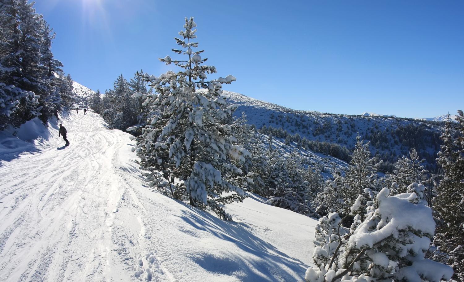 Pm Services Garden * Borovets