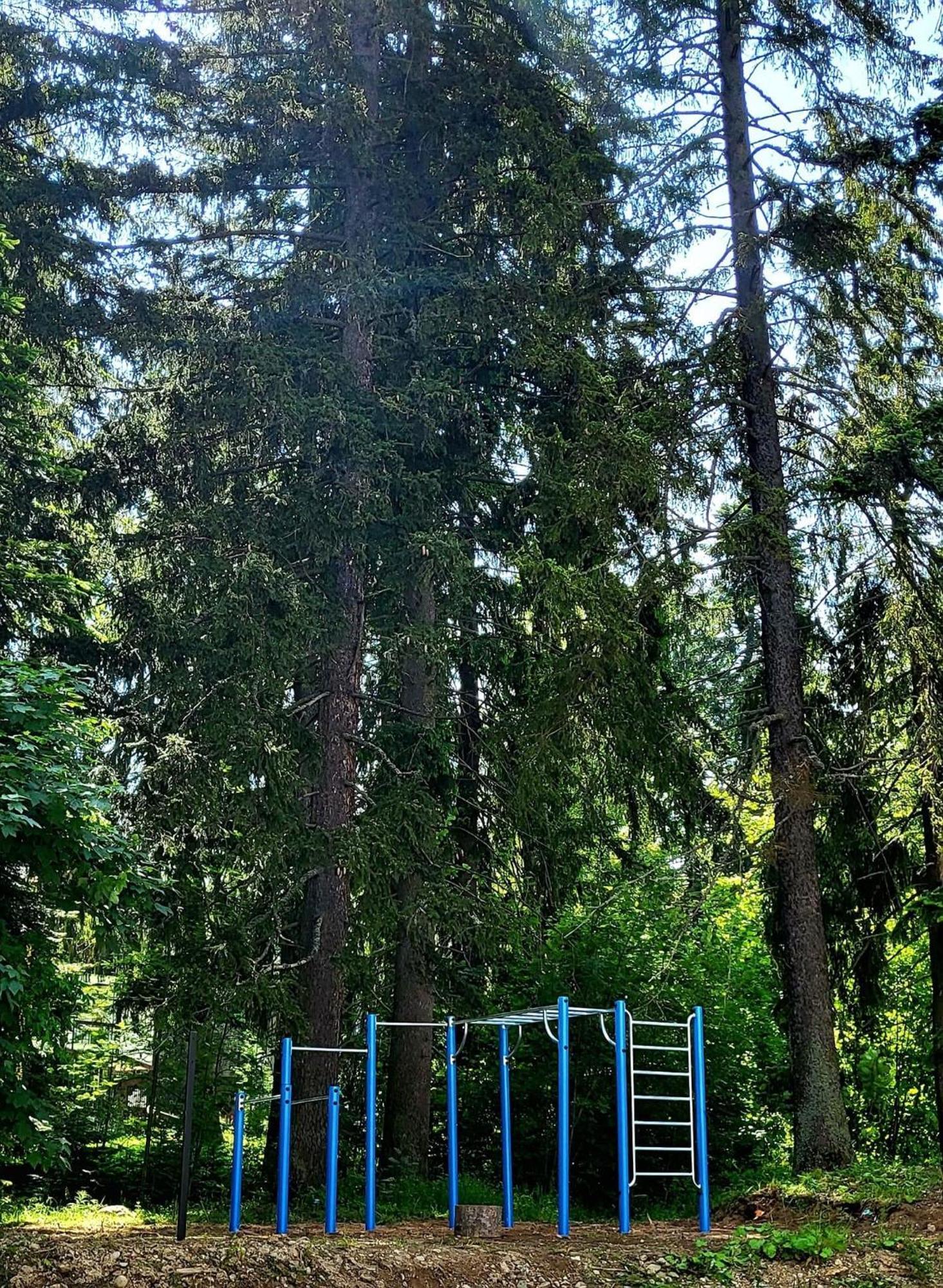 Apartment Pm Services Garden Borovets