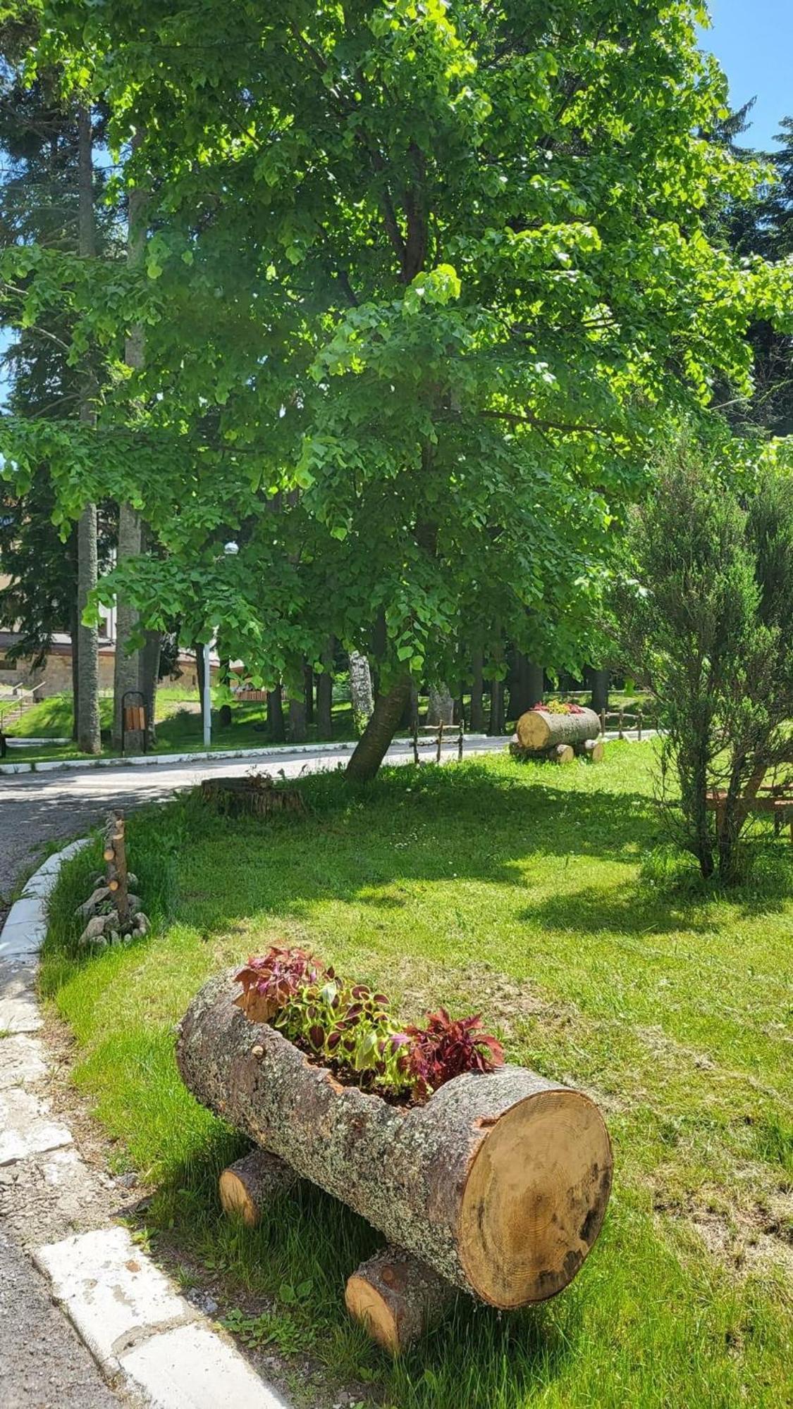 Pm Services Garden Apartment *