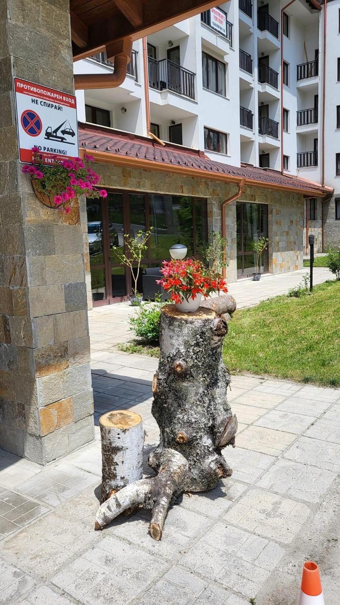 Apartment Pm Services Garden *